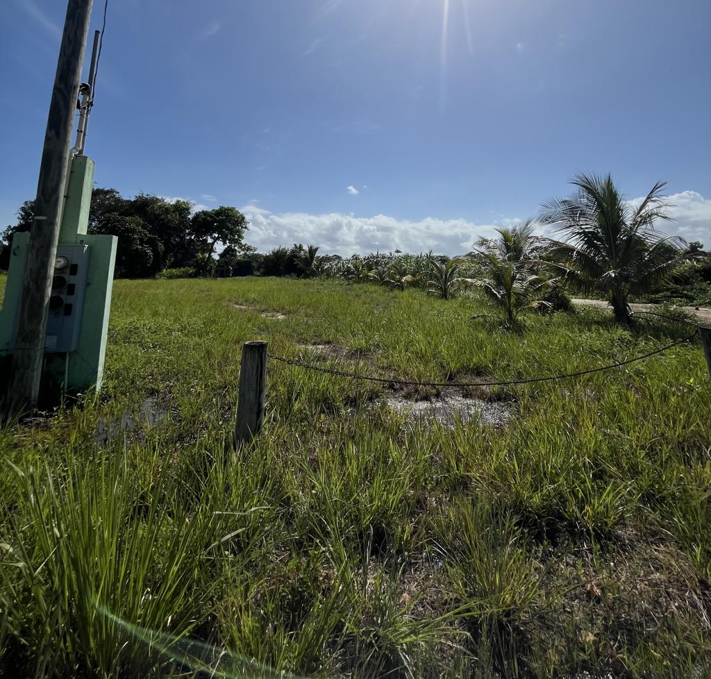 listing image with ID 73683