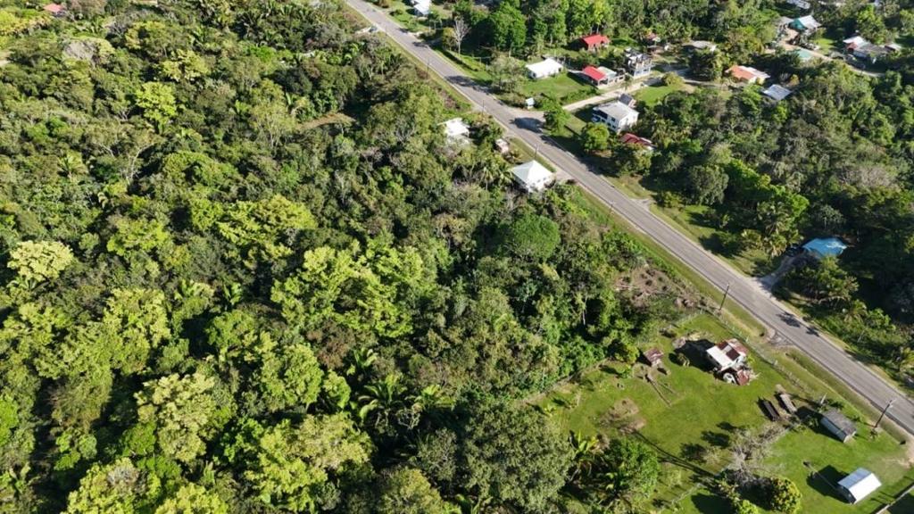 listing image with ID 72983