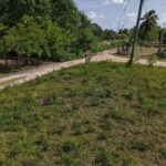 listing image thumbnail with ID 73545