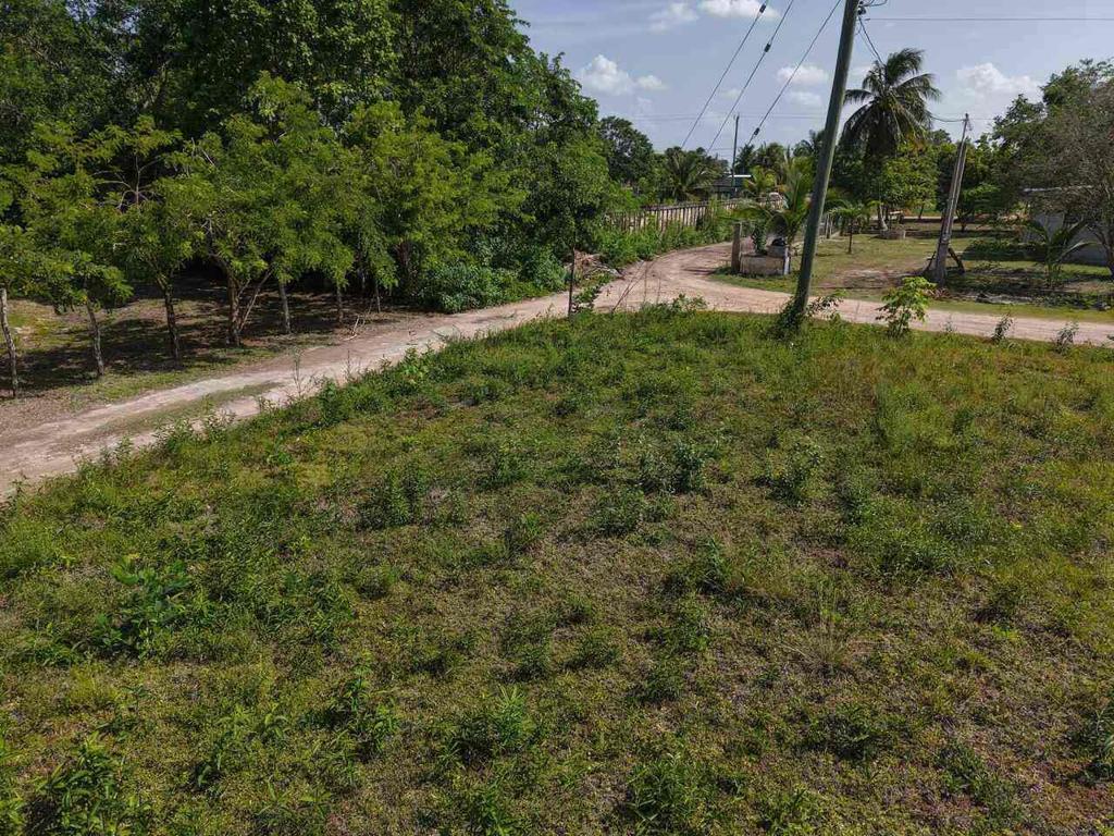 listing image with ID 73545