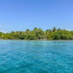 listing image thumbnail with ID 73651