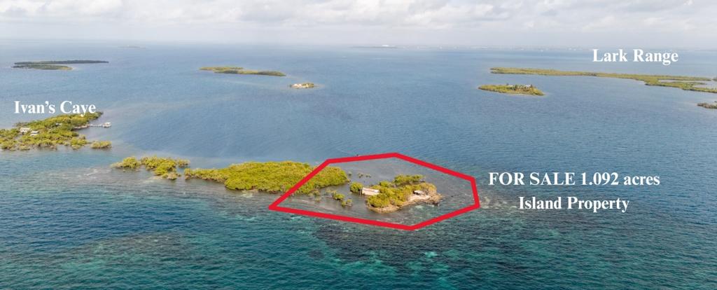 listing image with ID 74049