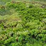 listing image thumbnail with ID 72844