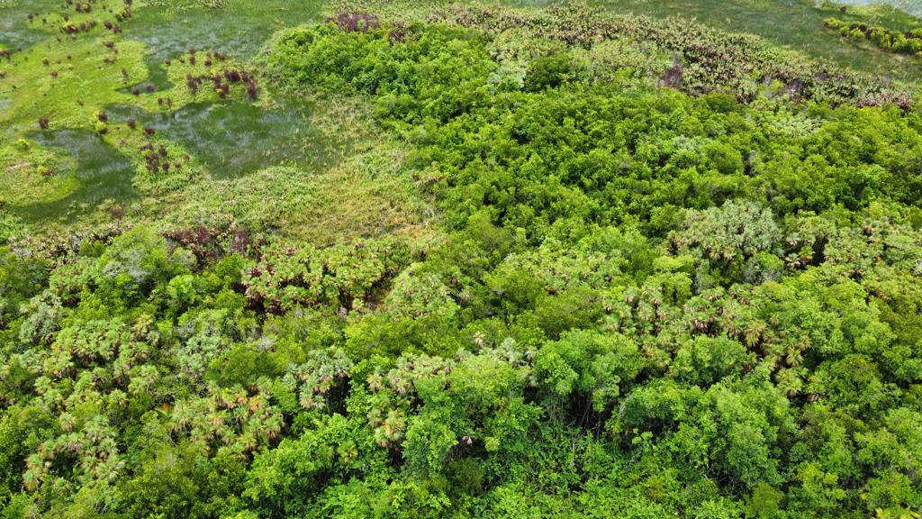 listing image with ID 72844