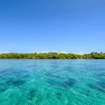 listing image thumbnail with ID 73652