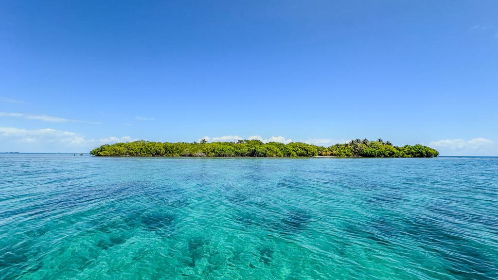 listing image with ID 73652