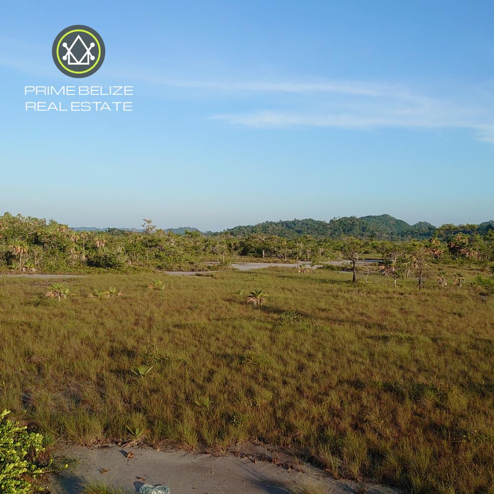 listing image with ID 73725