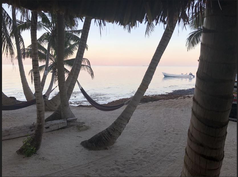 listing image with ID 73299