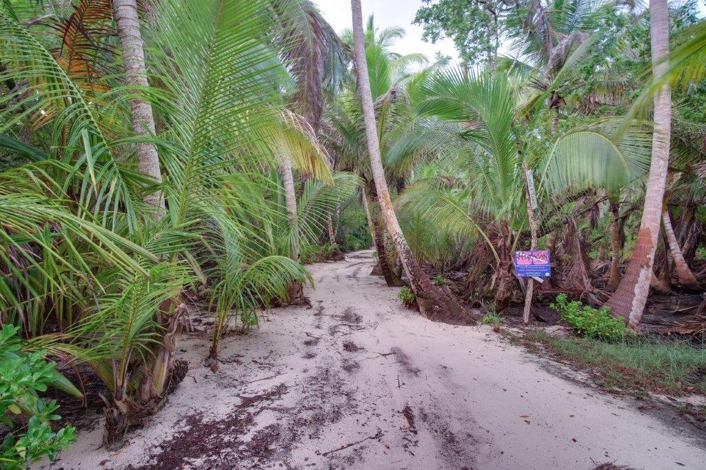 listing image with ID 73307