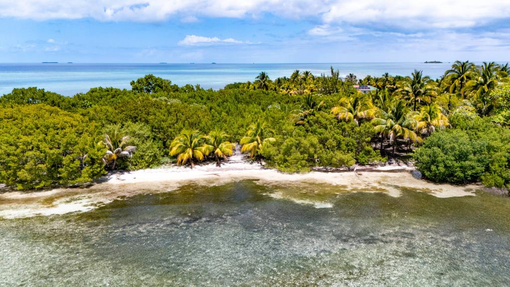 listing image with ID 73641