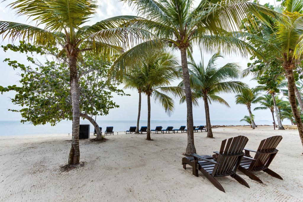 listing image with ID 73504