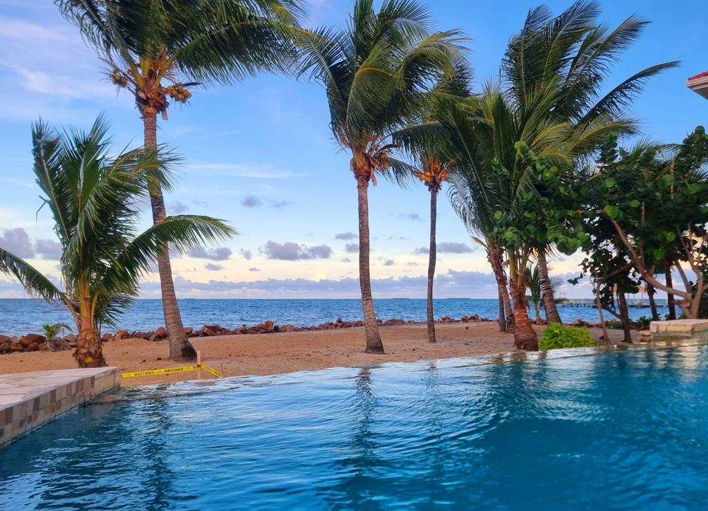 listing image with ID 73501