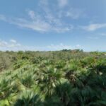 listing image thumbnail with ID 73217