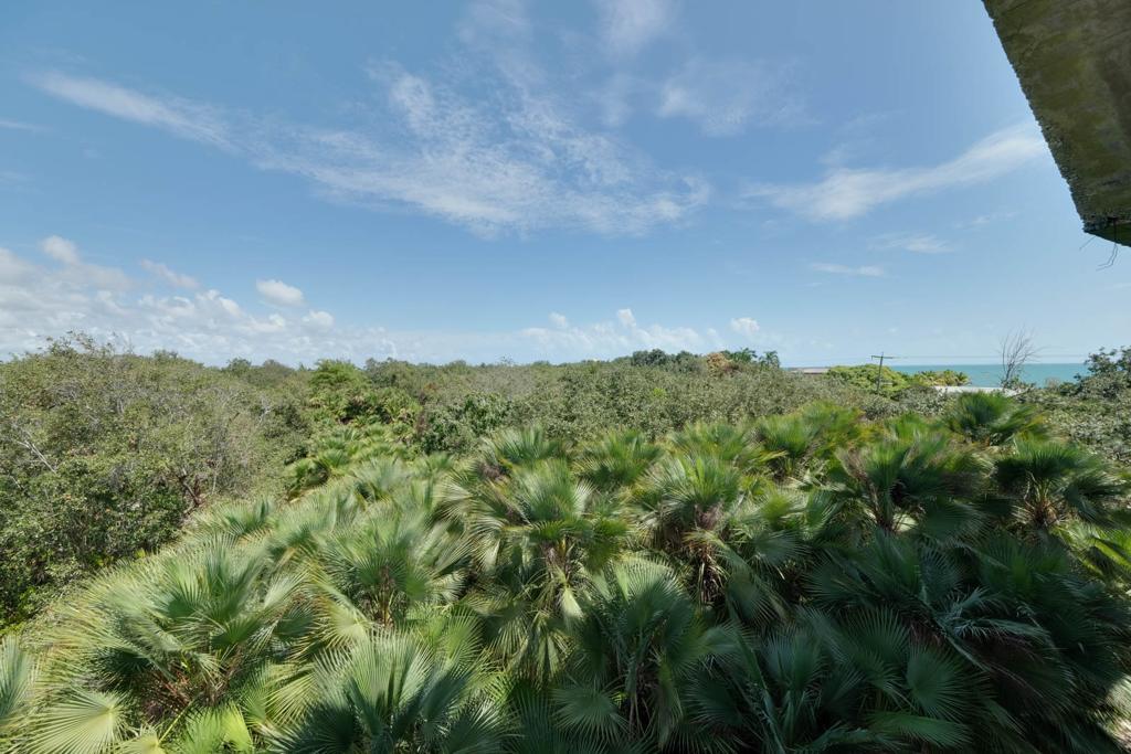 listing image with ID 73217