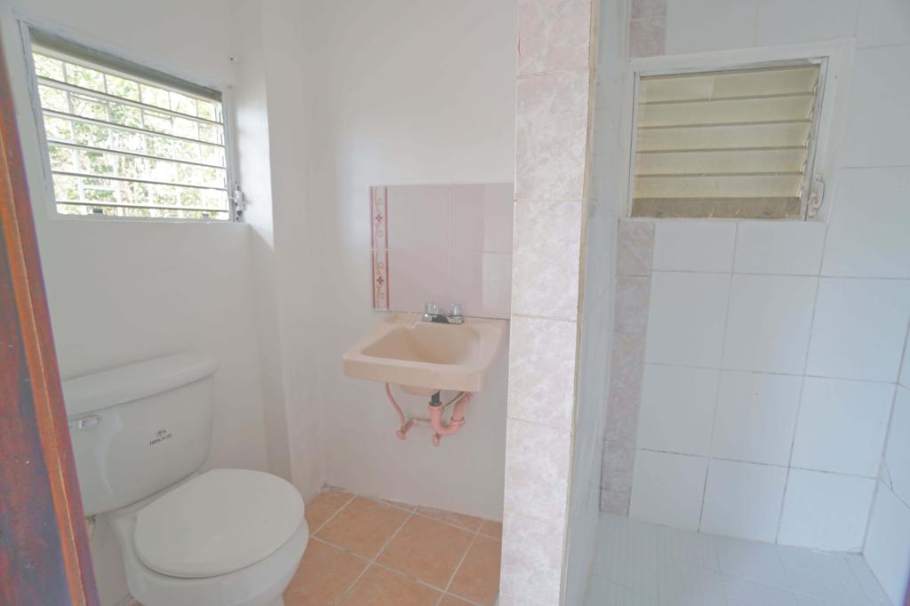 listing image with ID 74105