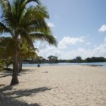 listing image thumbnail with ID 73325