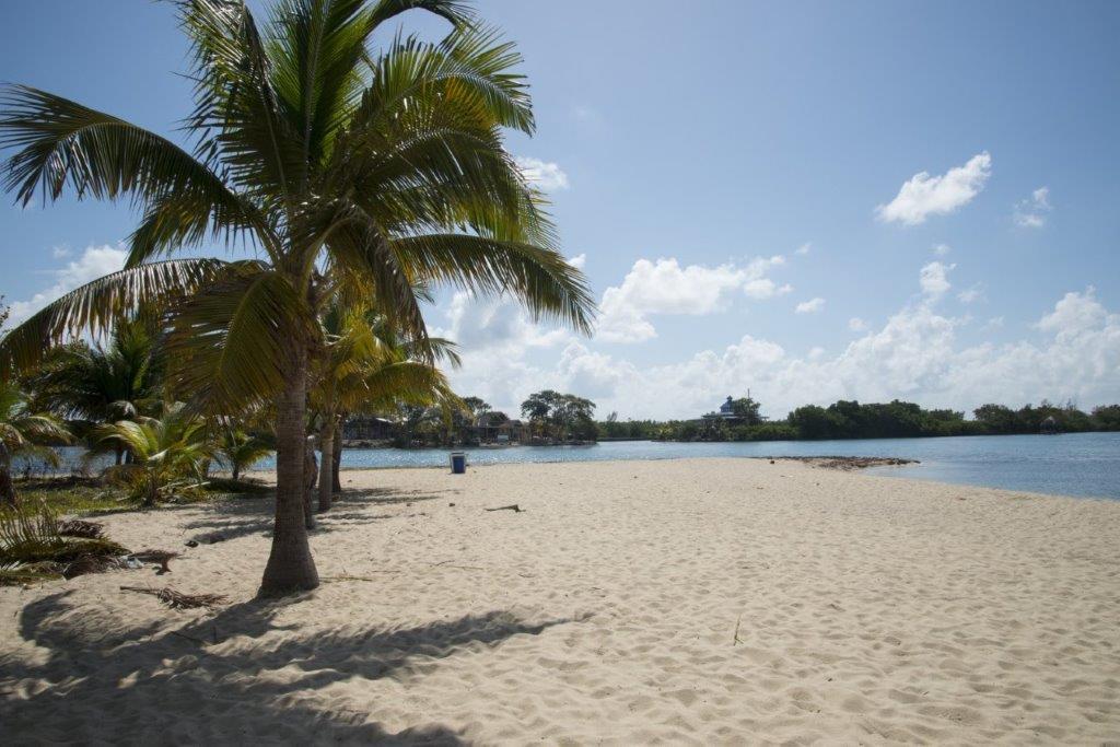 listing image with ID 73325