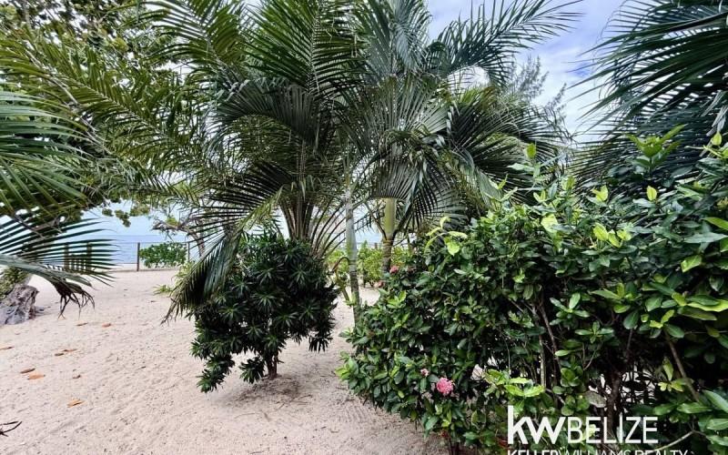 listing image with ID 73181