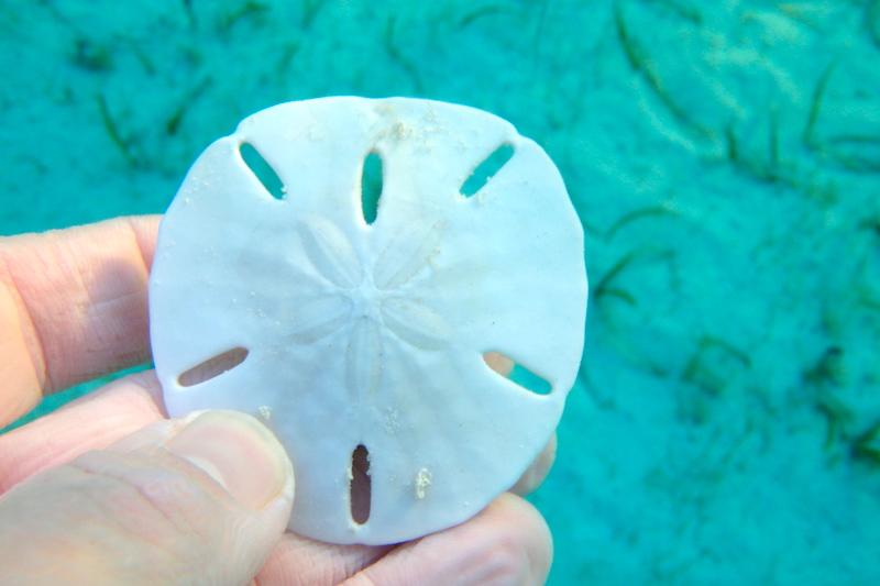 listing image with ID 73315