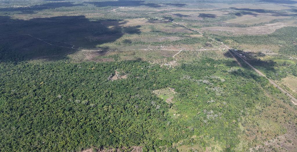 listing image with ID 74062