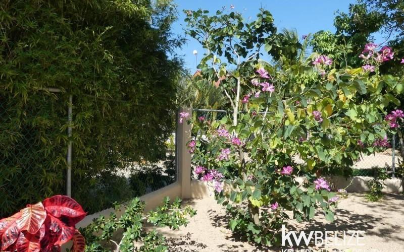 listing image with ID 73186