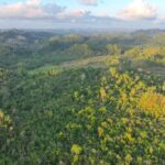 listing image thumbnail with ID 73823