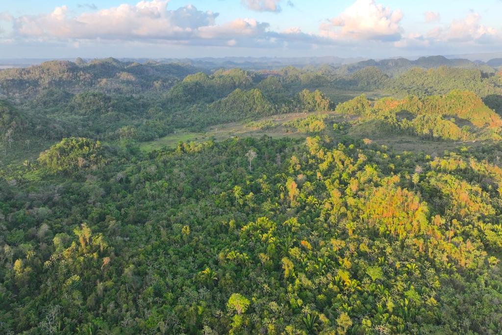 listing image with ID 73823