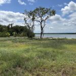 listing image thumbnail with ID 72831