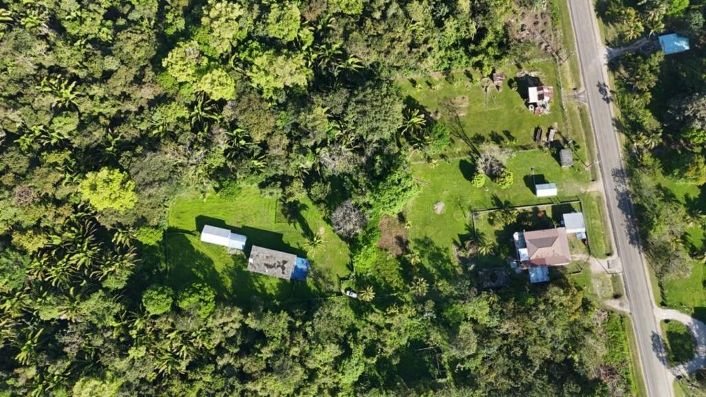 listing image with ID 72981