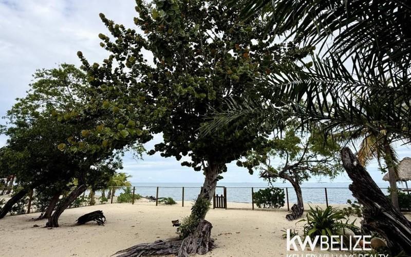 listing image with ID 73141