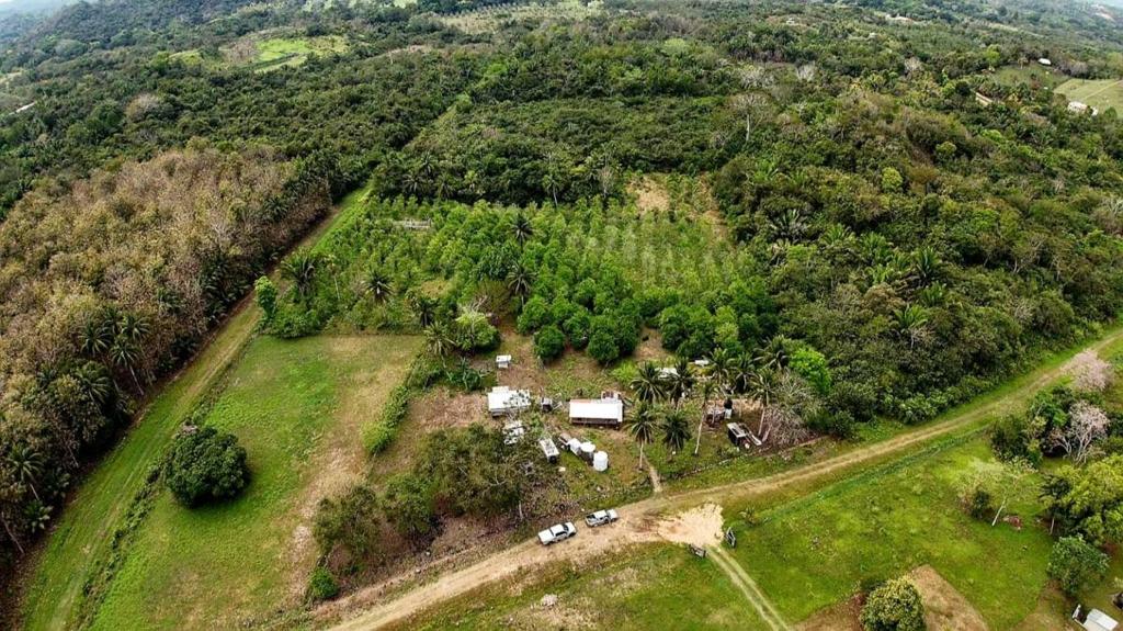 listing image with ID 73457