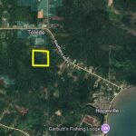 listing image thumbnail with ID 73353