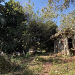 listing image thumbnail with ID 73333