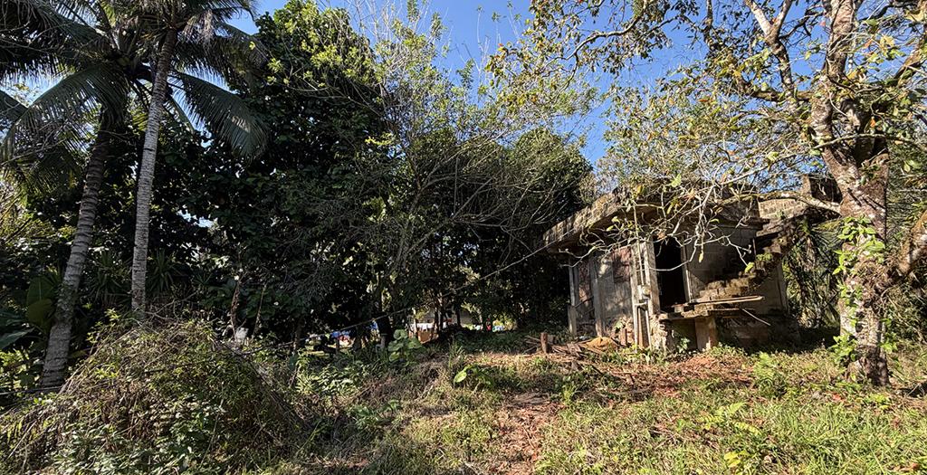 listing image with ID 73333