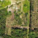 listing image thumbnail with ID 73451