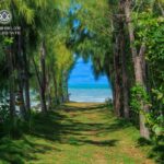 listing image thumbnail with ID 73385