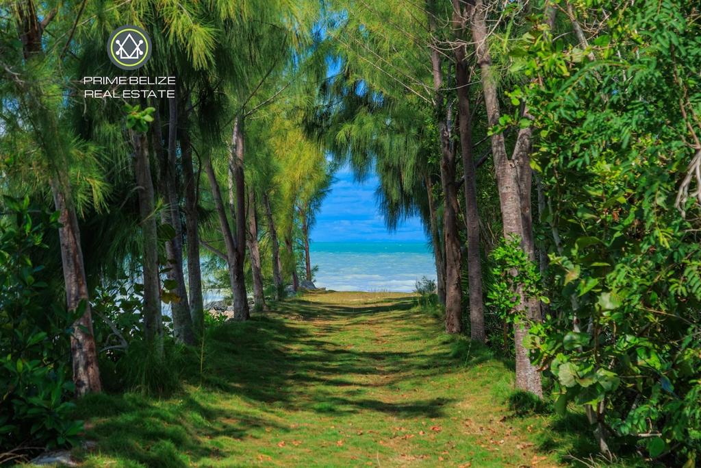 listing image with ID 73385