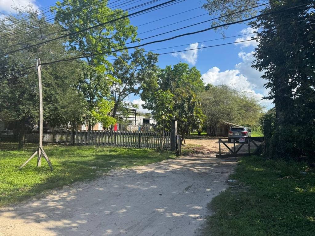 listing image with ID 72959