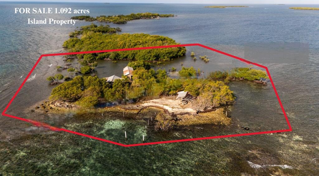 listing image with ID 74043