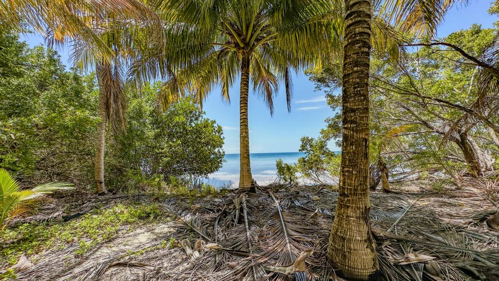 listing image with ID 73659