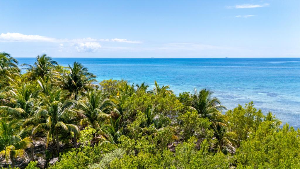 listing image with ID 73649