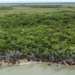 listing image thumbnail with ID 72845