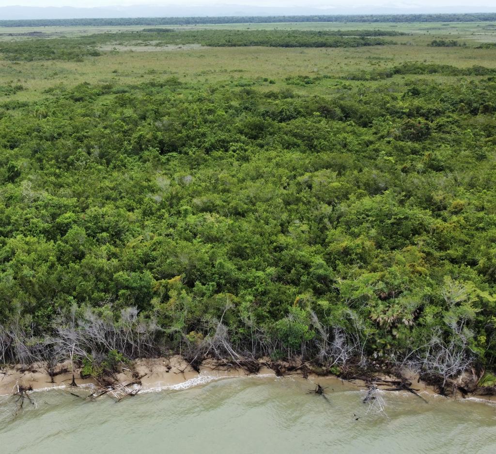 listing image with ID 72845