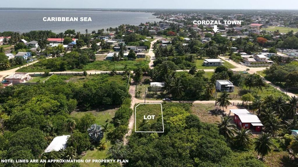 listing image with ID 73532