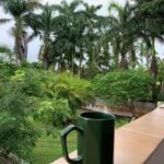 listing image thumbnail with ID 72901