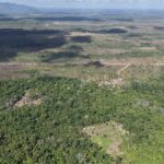 listing image thumbnail with ID 74065