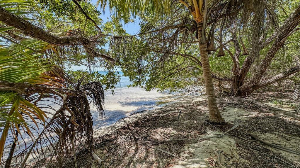 listing image with ID 73655