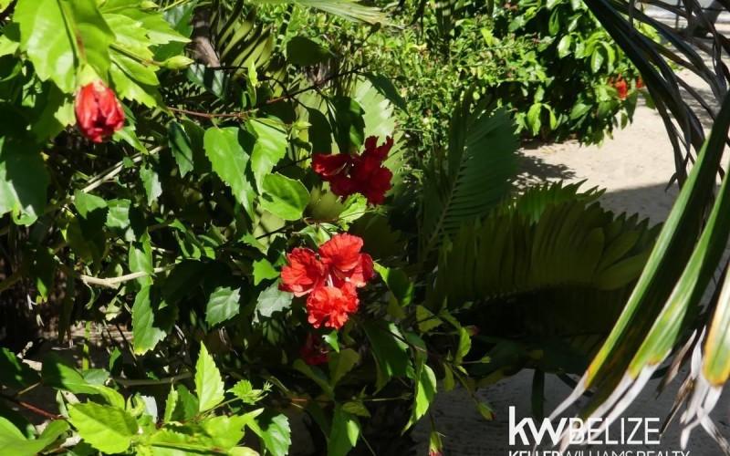 listing image with ID 73189