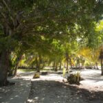 listing image thumbnail with ID 73327