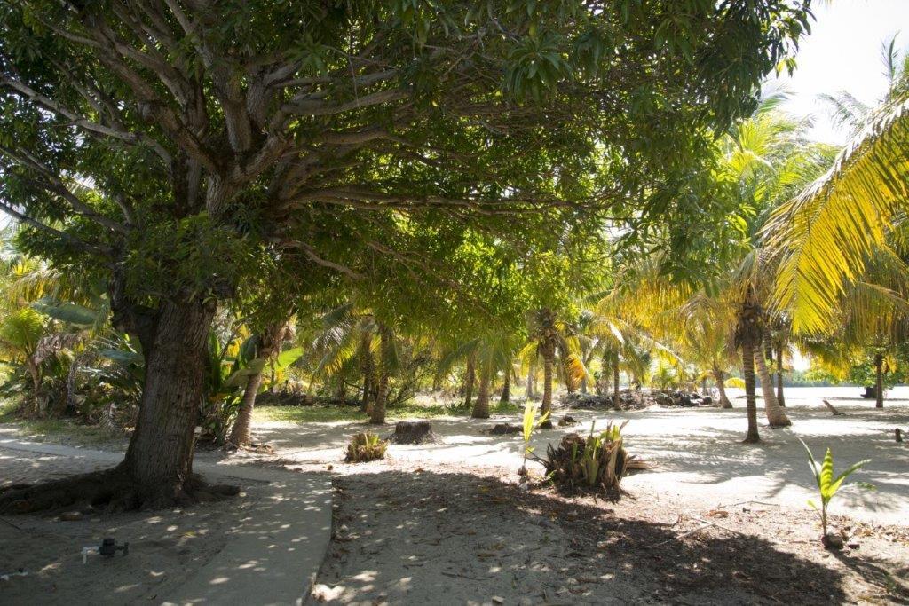 listing image with ID 73327